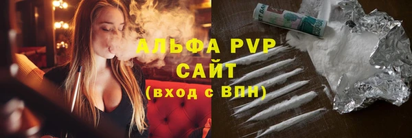 трава Няндома