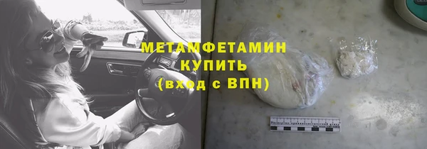 трава Няндома