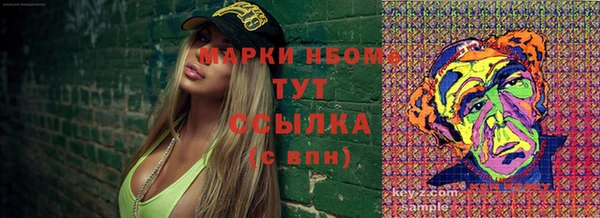 трава Няндома