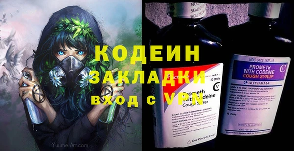 трава Няндома