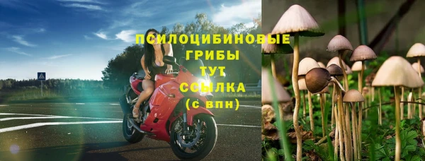 трава Няндома