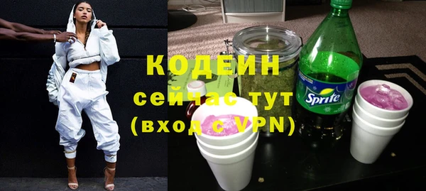 трава Няндома