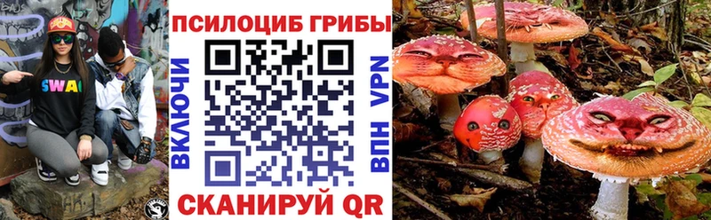 Галлюциногенные грибы Cubensis Купить Кировск